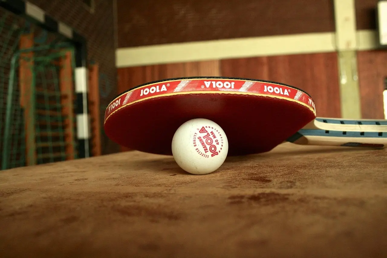 Bordtennisbat og bold i en hal